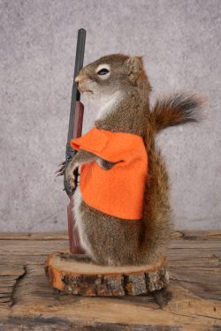 Hunting Red Squirrel SKU 3130 - Image 4