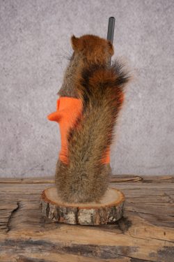 Hunting Red Squirrel SKU 3130 - Image 3