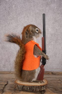 Hunting Red Squirrel SKU 3130 - Image 2