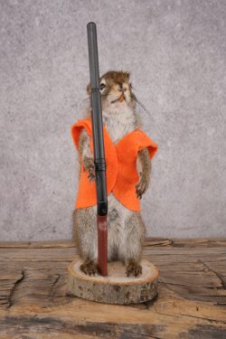 Hunting Red Squirrel SKU 3131