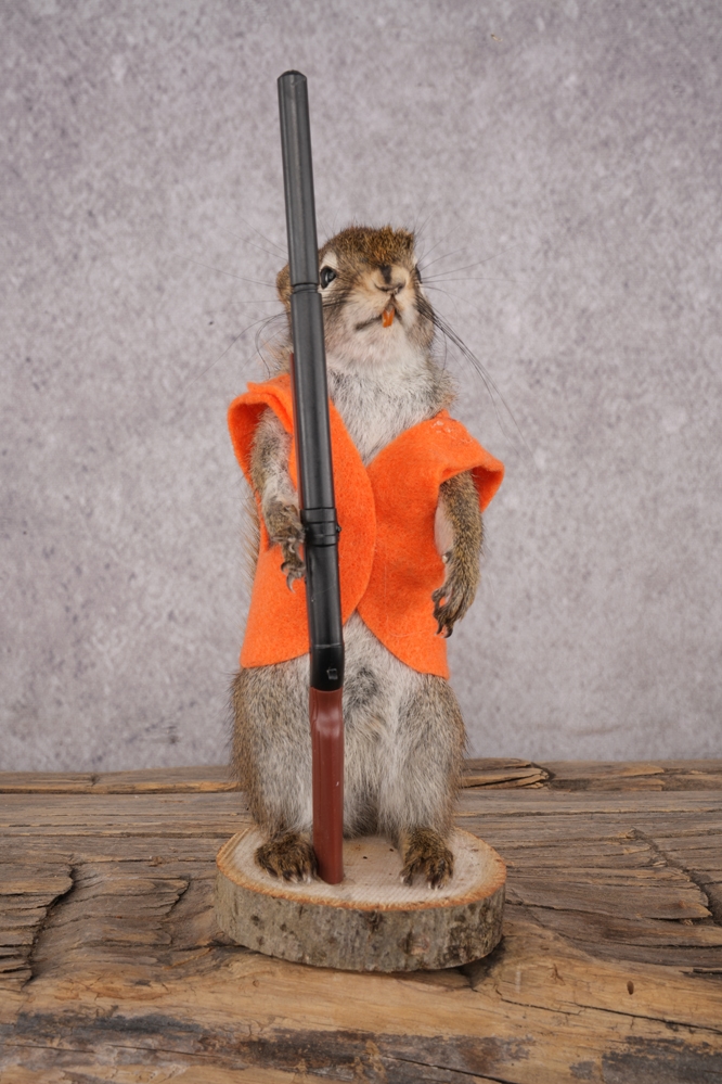A7409449 Hunting Red Squirrel SKU 3131 - Image 1