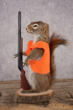 Hunting Red Squirrel SKU 3131 - Image 4