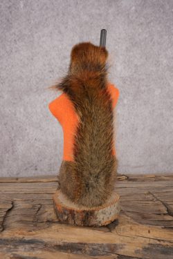 Hunting Red Squirrel SKU 3131 - Image 3