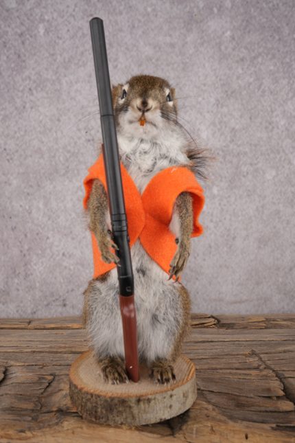 Hunting Red Squirrel SKU 3132