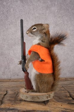 Hunting Red Squirrel SKU 3132 - Image 4