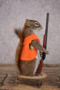 Hunting Red Squirrel SKU 3132 - Image 2