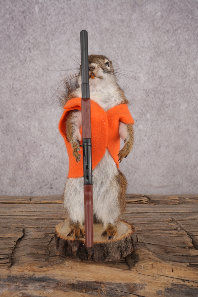 A7409460 Hunting Red Squirrel SKU 3133 - Image 1
