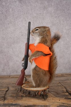 Hunting Red Squirrel SKU 3133 - Image 4