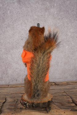 Hunting Red Squirrel SKU 3133 - Image 3