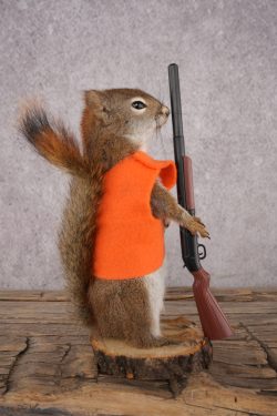Hunting Red Squirrel SKU 3133 - Image 2