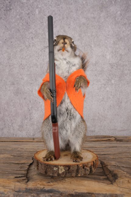 Hunting Red Squirrel SKU 3134