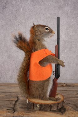 Hunting Red Squirrel SKU 3134 - Image 2