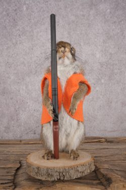 Hunting Squirrel SKU 3115