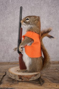 Hunting Squirrel SKU 3115 - Image 4