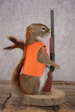 Hunting Squirrel SKU 3115 - Image 2