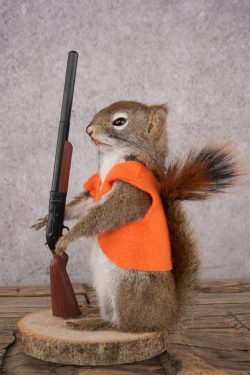 Hunting Squirrel SKU 3116 - Image 4