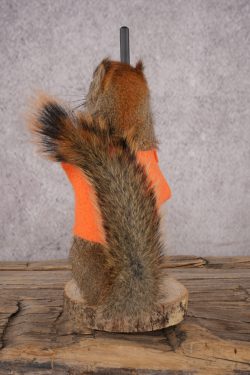 Hunting Squirrel SKU 3116 - Image 3