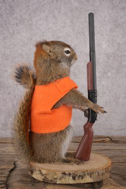 Hunting Squirrel SKU 3116 - Image 2