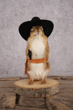 Cowboy Chipmunk SKU 3122