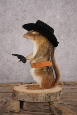 Cowboy Chipmunk SKU 3122 - Image 4