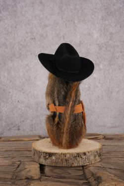 Cowboy Chipmunk SKU 3122 - Image 3