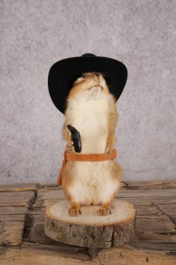 Cowboy Chipmunk SKU 3117