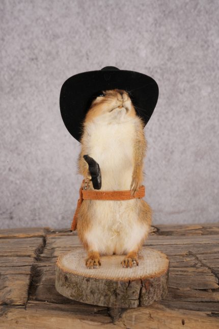 Cowboy Chipmunk SKU 3117