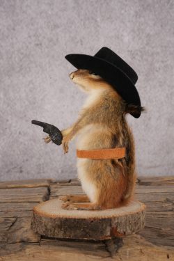 Cowboy Chipmunk SKU 3117 - Image 4