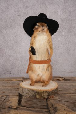 Cowboy Chipmunk SKU 3119