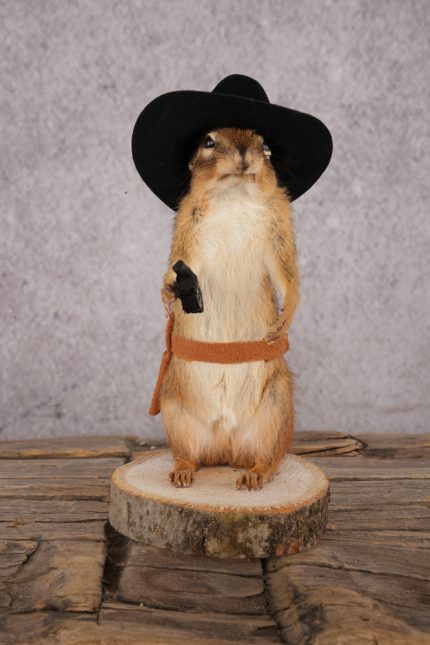Cowboy Chipmunk SKU 3119