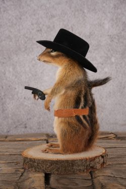 Cowboy Chipmunk SKU 3119 - Image 4