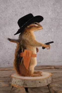 Cowboy Chipmunk SKU 3119 - Image 2