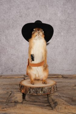 Cowboy Chipmunk SKU 3120