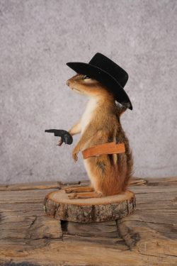 Cowboy Chipmunk SKU 3120 - Image 4