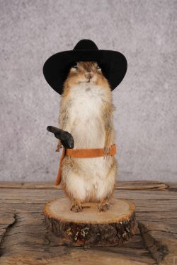 Cowboy Chipmunk SKU 3118