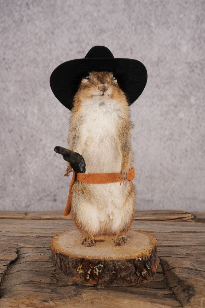 A7409506 Cowboy Chipmunk SKU 3118 - Image 1