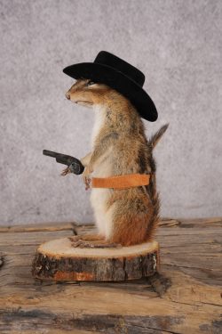 Cowboy Chipmunk SKU 3118 - Image 4