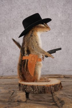 Cowboy Chipmunk SKU 3118 - Image 2
