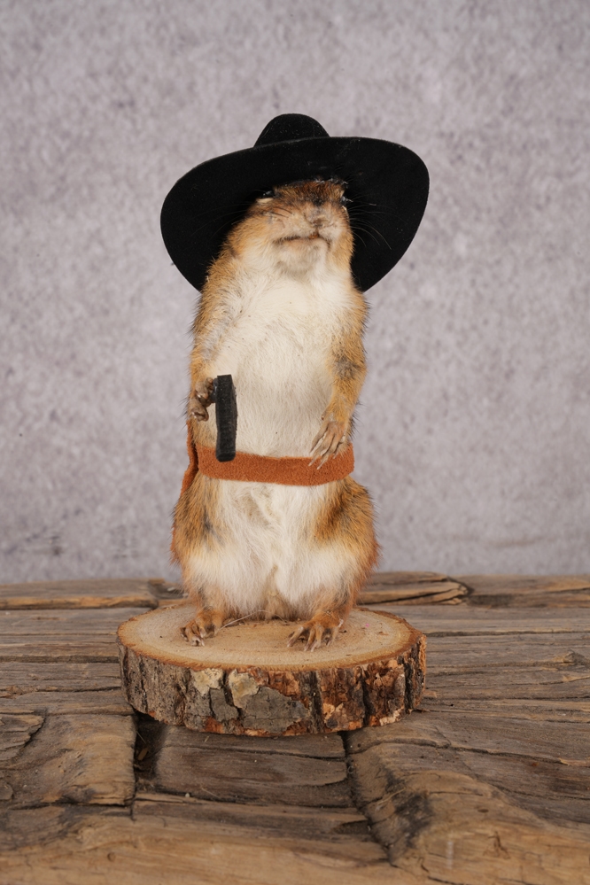 A7409511 Cowboy Chipmunk SKU 3121 - Image 1