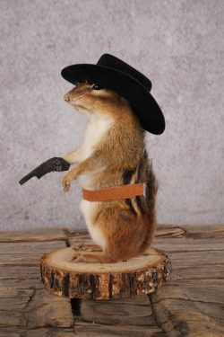 Cowboy Chipmunk SKU 3121 - Image 4