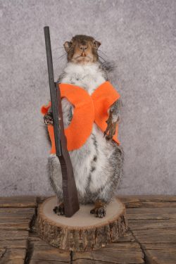Hunting Squirrel SKU 3109
