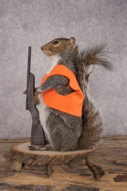 Hunting Squirrel SKU 3109 - Image 4