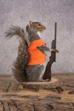Hunting Squirrel SKU 3109 - Image 2