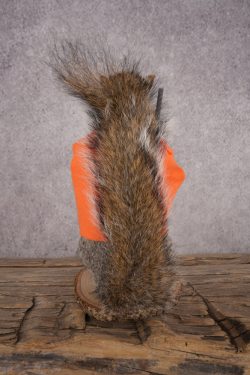 Hunting Squirrel SKU 3110 - Image 3