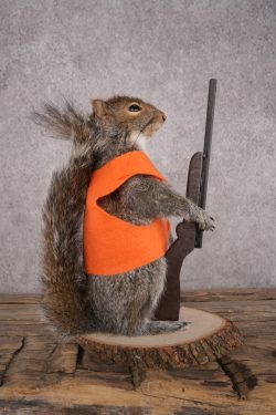 Hunting Squirrel SKU 3110 - Image 2