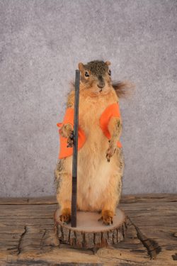 Hunting Squirrel SKU 3111