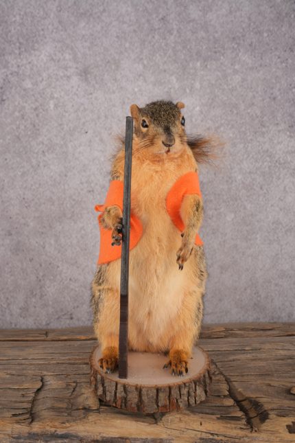Hunting Squirrel SKU 3111