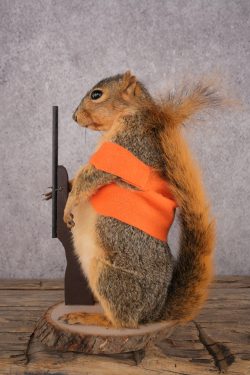 Hunting Squirrel SKU 3111 - Image 4