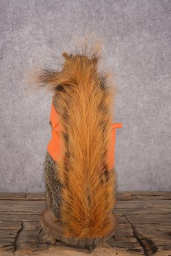 Hunting Squirrel SKU 3111 - Image 3