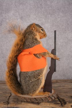 Hunting Squirrel SKU 3111 - Image 2
